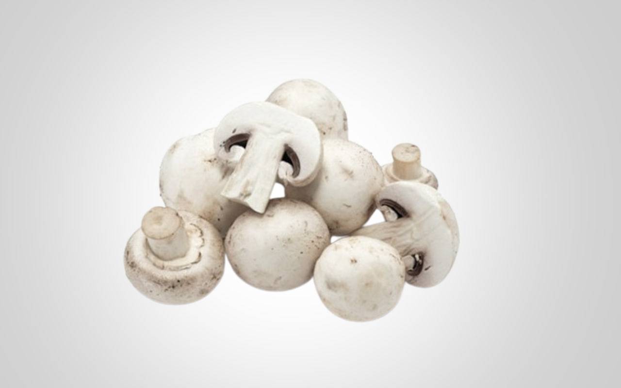 بکوژی بێدەنگ؛ مەترسییەکانی قارچکی ژەهراویی لەسەر مرۆڤ