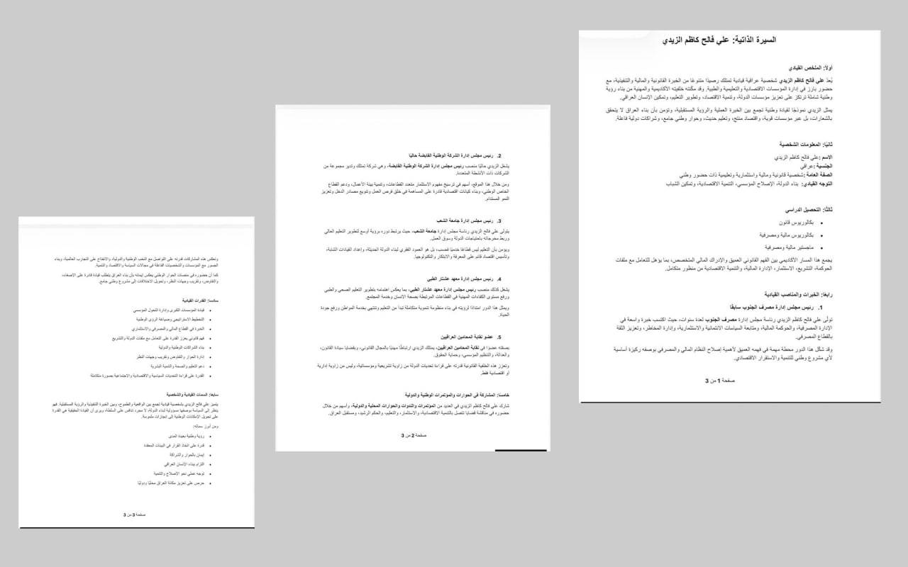 ناوەڕۆکی سی ڤی عەلی زەیدی کاندیدی سەرۆکوەزیران؛ هەمان ئەو سیڤییەی چوارچێوەی هەماهەنگی رەوانەی پەرلەمانی دەکات