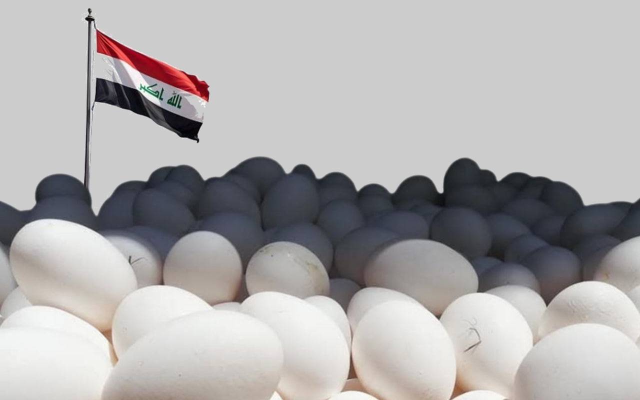 ئەنجومەنی ئابوریی عێراق بۆ چارەسەری کێشەی هێلکە کۆدەبێتەوە