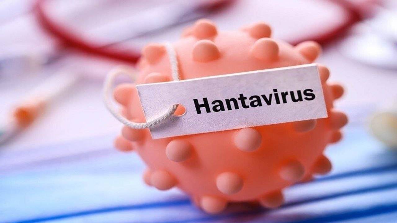 هانتا ڤایرەس؛ ئایا مرۆڤایەتی لە بەردەم پەتایەکی نوێدایە؟