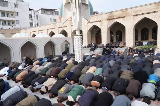 سەلەفیەتی مەدخەلی؛ ئەو ڕەوتەی گوناهی گەورە لە دژایەتیکردنی دەسەڵاتدا دەبینێت